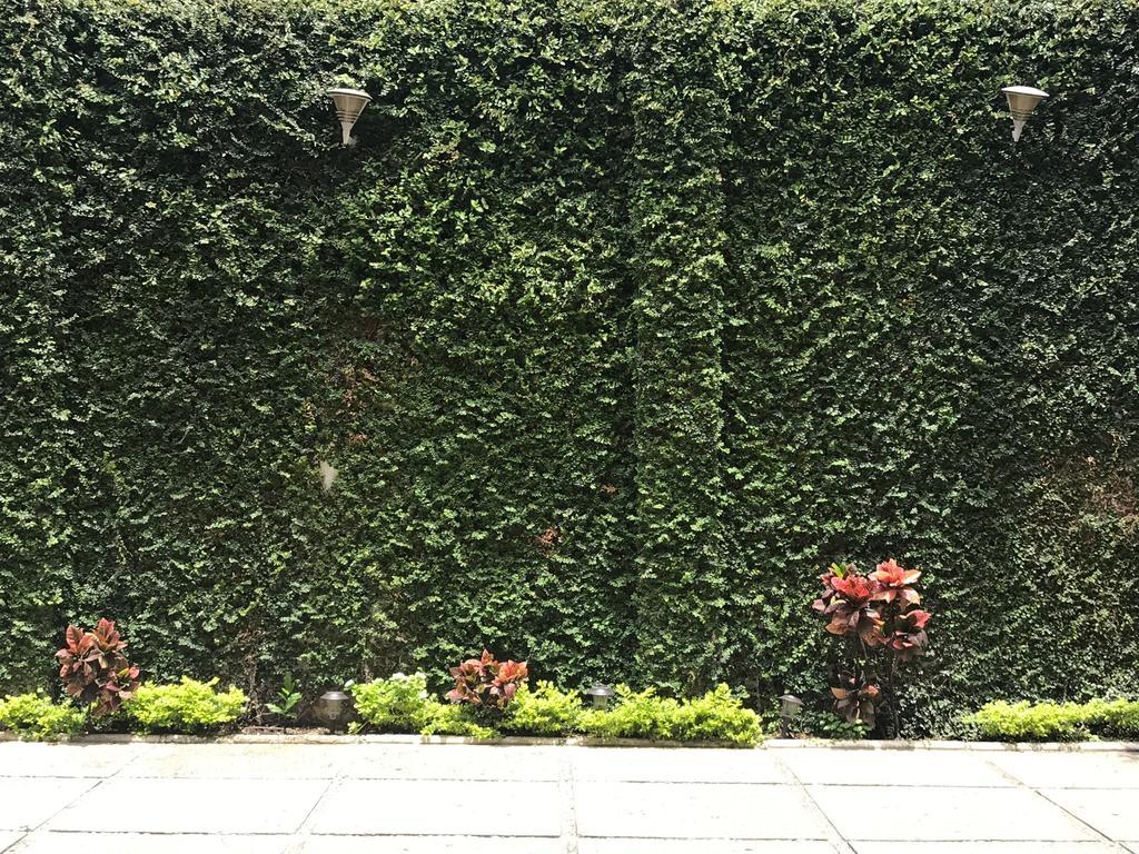 Real Avenida Hotel Tuxtla Gutiérrez Dış mekan fotoğraf
